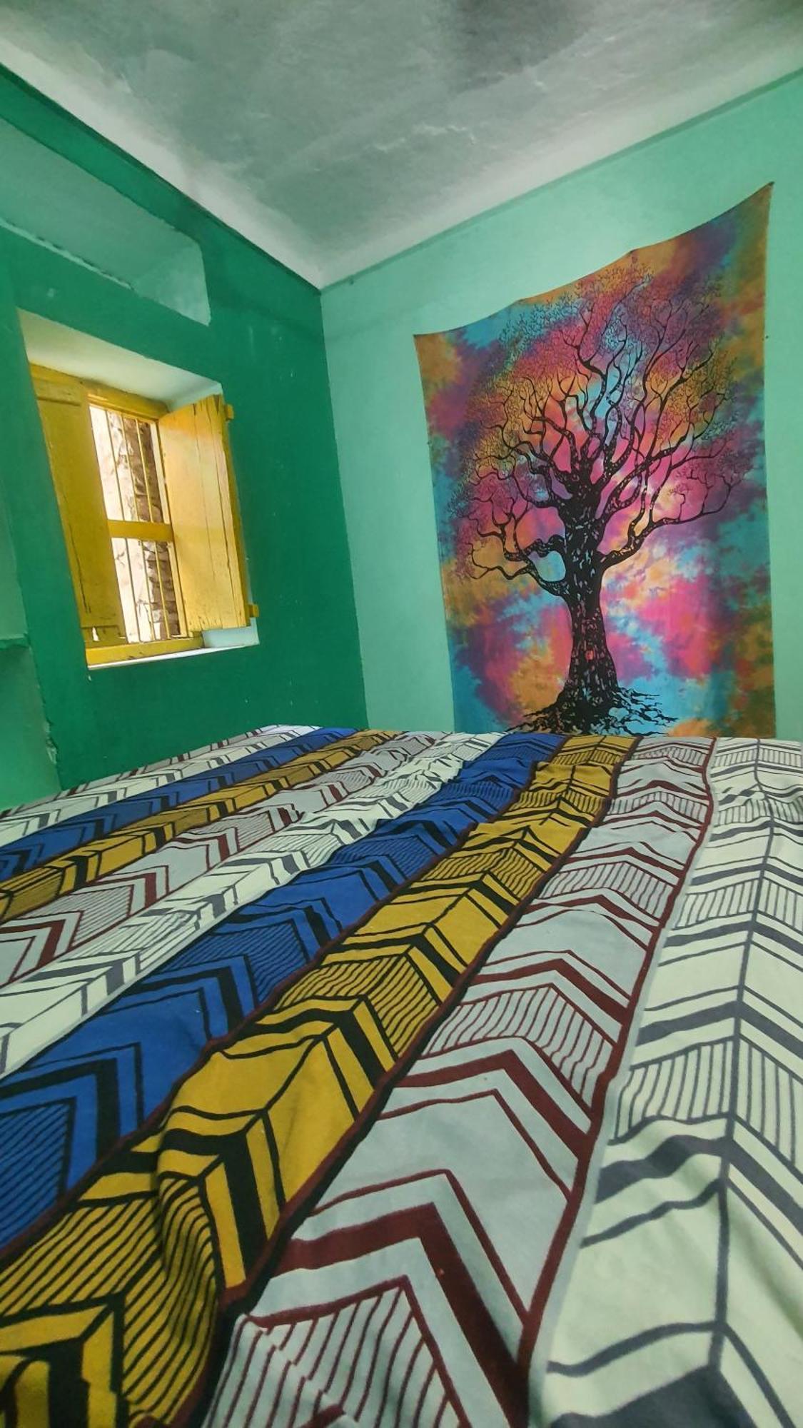 Anand Hostel プシュカル エクステリア 写真